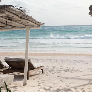 tuup-tulum.quintano-roohotels.com/